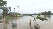 Over 60,000 people still affected by floods in Assam's Sivasagar as families remain displaced Over 60,000 people still affected by floods in Assam's Sivasagar as families remain displaced