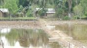 Assam floods: Golaghat families remain displaced despite improving situation Assam floods: Golaghat families remain displaced despite improving situation