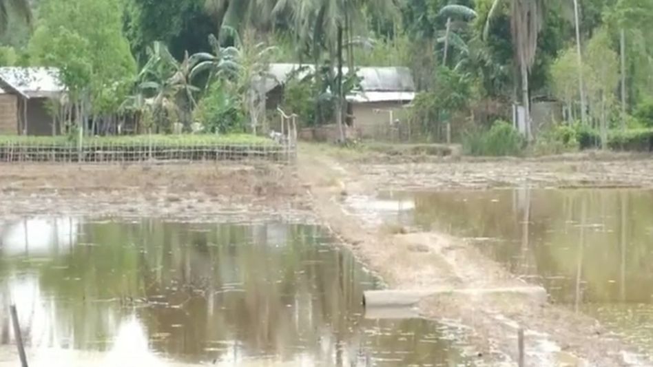 Assam floods: Golaghat families remain displaced despite improving situation Assam floods: Golaghat families remain displaced despite improving situation