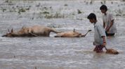Assam floods: Govt announces Rs 37,500 aid per lost cow, compensation for goats and poultry Assam floods: Govt announces Rs 37,500 aid per lost cow, compensation for goats and poultry