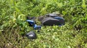 Pregnant woman, daughter critically injured in road accident near Assam-Meghalaya border Pregnant woman, daughter critically injured in road accident near Assam-Meghalaya border