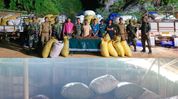 Assam Rifles seize protected medicinal plant worth Rs 1.05 crore in Mizoram, five held Assam Rifles seize protected medicinal plant worth Rs 1.05 crore in Mizoram, five held