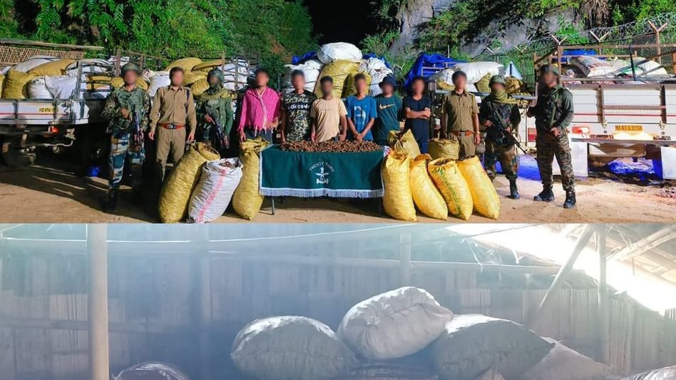 Assam Rifles seize protected medicinal plant worth Rs 1.05 crore in Mizoram, five held Assam Rifles seize protected medicinal plant worth Rs 1.05 crore in Mizoram, five held