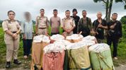 Assam's Udalguri Police seize 344.38 kg cannabis worth Rs 1.72 crore, one arrested Assam's Udalguri Police seize 344.38 kg cannabis worth Rs 1.72 crore, one arrested