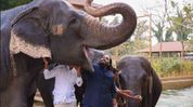 Assam floods: Himanta thanks Vantara Foundation, Anant Ambani for aiding wildlife rescue Assam floods: Himanta thanks Vantara Foundation, Anant Ambani for aiding wildlife rescue