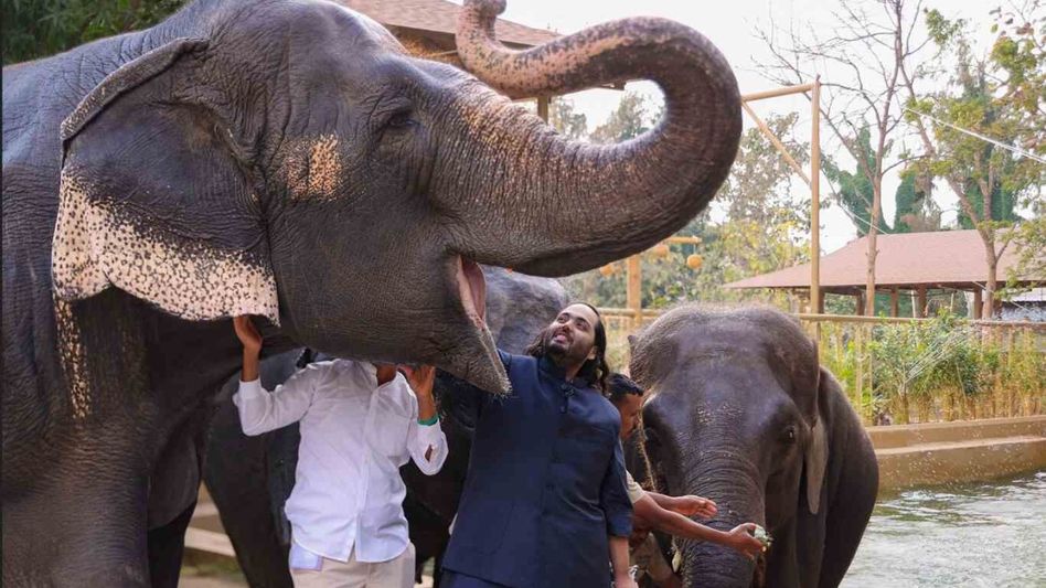 Assam floods: Himanta thanks Vantara Foundation, Anant Ambani for aiding wildlife rescue Assam floods: Himanta thanks Vantara Foundation, Anant Ambani for aiding wildlife rescue
