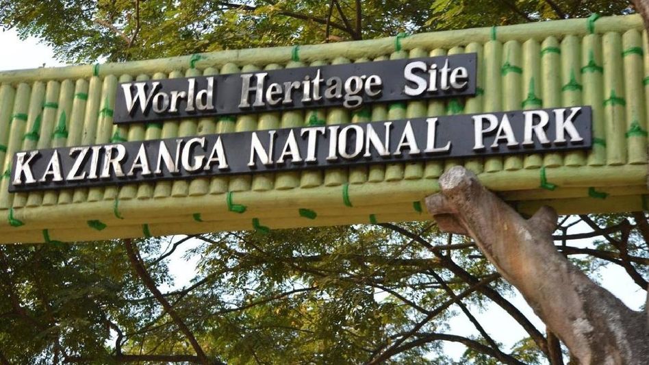 Kaziranga eco-sensitive zone may be reduced from 10 km to 1 km: Himanta Sarma Kaziranga eco-sensitive zone may be reduced from 10 km to 1 km: Himanta Sarma
