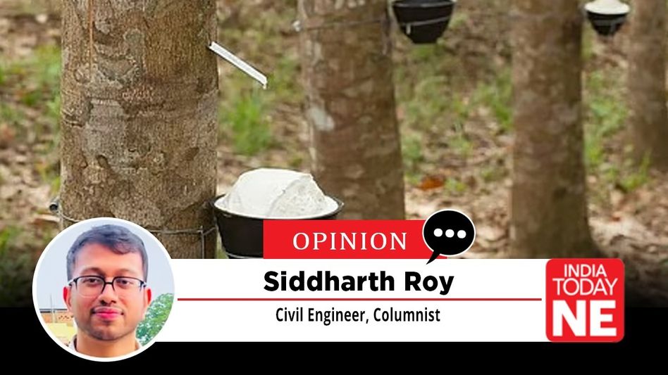 Assam’s Rubber Economy Needs to Move Up the Value Chain Assam’s Rubber Economy Needs to Move Up the Value Chain