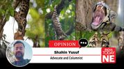 Mission Clouded Leopard Must Become More Than a Conservation Promise Mission Clouded Leopard Must Become More Than a Conservation Promise