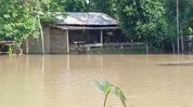 Assam floods worsen in Golaghat as Dhansiri River inundates new areas Assam floods worsen in Golaghat as Dhansiri River inundates new areas