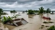 Assam flood death toll reaches 101, over 1.26 lakh people affected across 10 districts Assam flood death toll reaches 101, over 1.26 lakh people affected across 10 districts