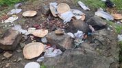Assam: Dima Hasao bans roadside cooking, public dumping to protect environment and road safety Assam: Dima Hasao bans roadside cooking, public dumping to protect environment and road safety
