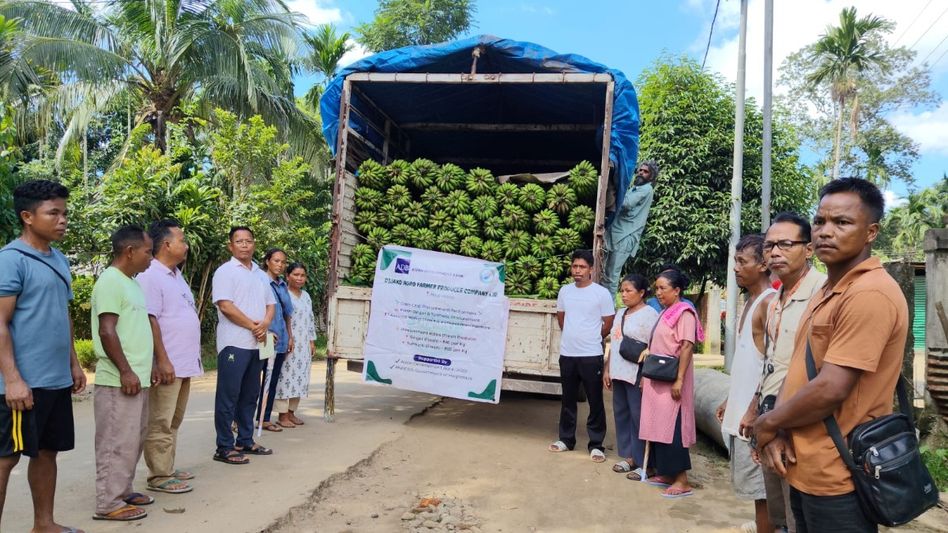 Meghalaya: North Garo Hills banana growers establish direct market link with Patna Meghalaya: North Garo Hills banana growers establish direct market link with Patna