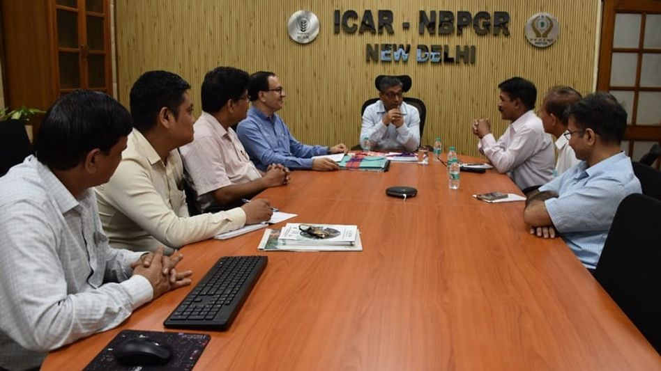 Assam’s wild rice conservation project reviewed by rainfed agriculture authority chief Assam’s wild rice conservation project reviewed by rainfed agriculture authority chief