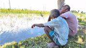 Missa Juri floods devastate Assam's Kaliabor farms, hundreds of bighas of paddy submerged Missa Juri floods devastate Assam's Kaliabor farms, hundreds of bighas of paddy submerged