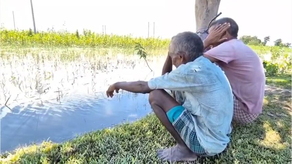 Missa Juri floods devastate Assam's Kaliabor farms, hundreds of bighas of paddy submerged Missa Juri floods devastate Assam's Kaliabor farms, hundreds of bighas of paddy submerged