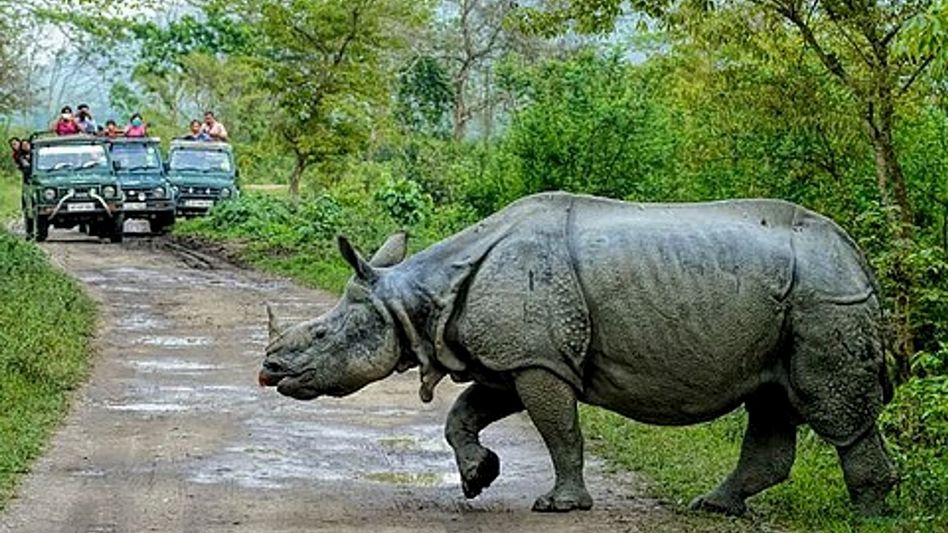 Assam following Supreme Court guidelines on Kaziranga Eco-Sensitive Zone: Minister Pijush Hazarika Assam following Supreme Court guidelines on Kaziranga Eco-Sensitive Zone: Minister Pijush Hazarika