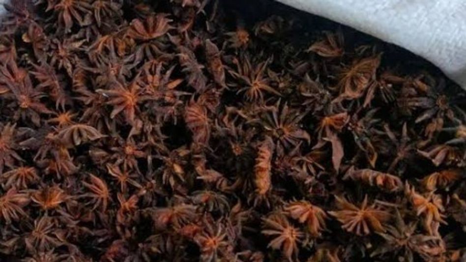 Arunachal’s Khagi spice brings Rs 39 lakh to 200 households while helping protect forests Arunachal’s Khagi spice brings Rs 39 lakh to 200 households while helping protect forests