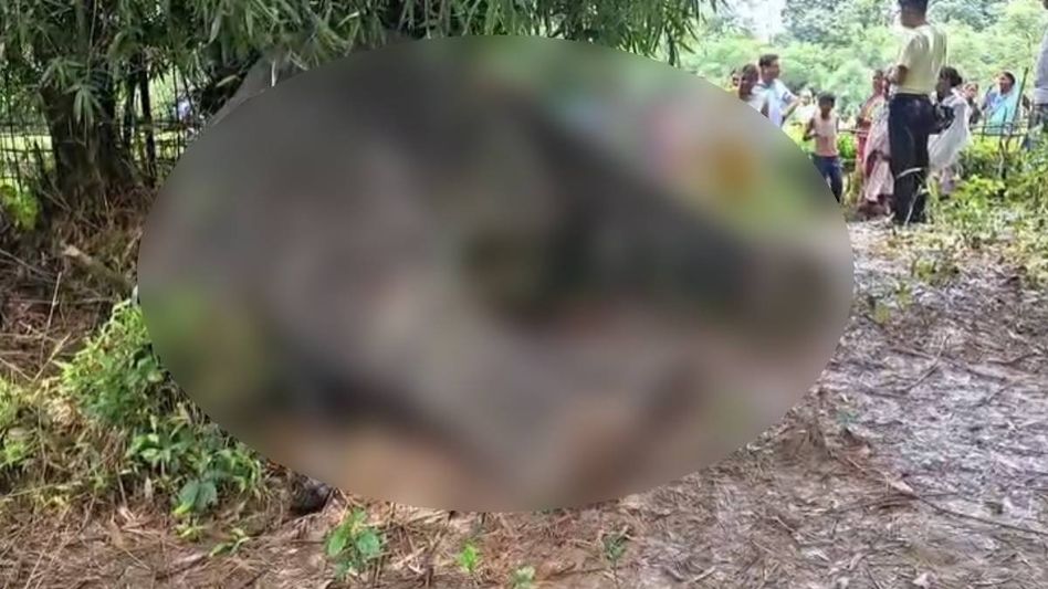 Elephant carcass found in Assam's Samaguri after animal strays into human settlement Elephant carcass found in Assam's Samaguri after animal strays into human settlement
