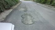 Naga Students’ Federation flags road quality, delays in NHIDCL projects across Nagaland Naga Students’ Federation flags road quality, delays in NHIDCL projects across Nagaland