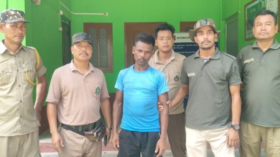 Poacher arrested with two country-made guns inside Assam's Raimona National Park Poacher arrested with two country-made guns inside Assam's Raimona National Park