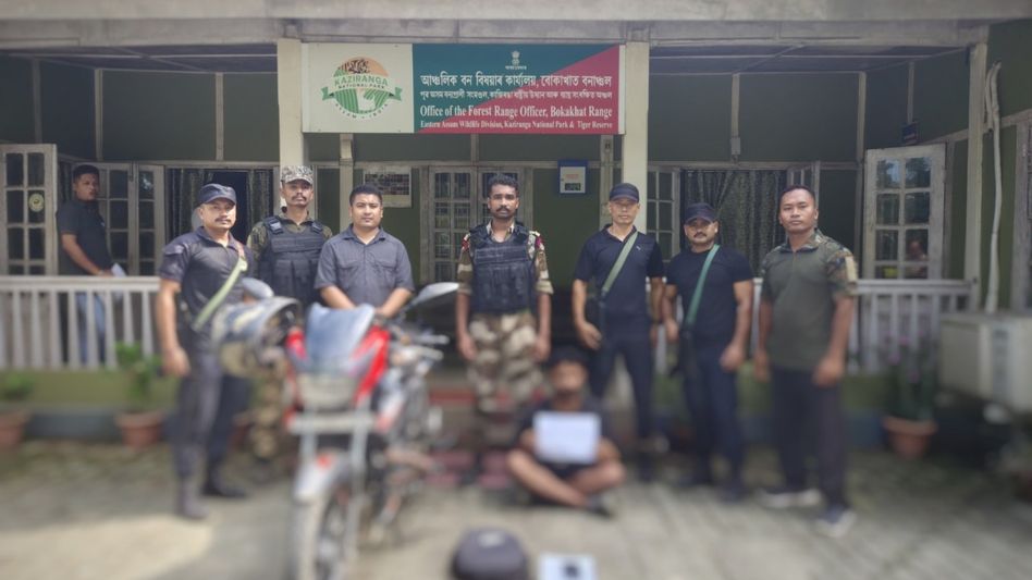 Tokay Gecko rescued in Assam's Kaziranga; man apprehended over alleged illegal wildlife trade Tokay Gecko rescued in Assam's Kaziranga; man apprehended over alleged illegal wildlife trade