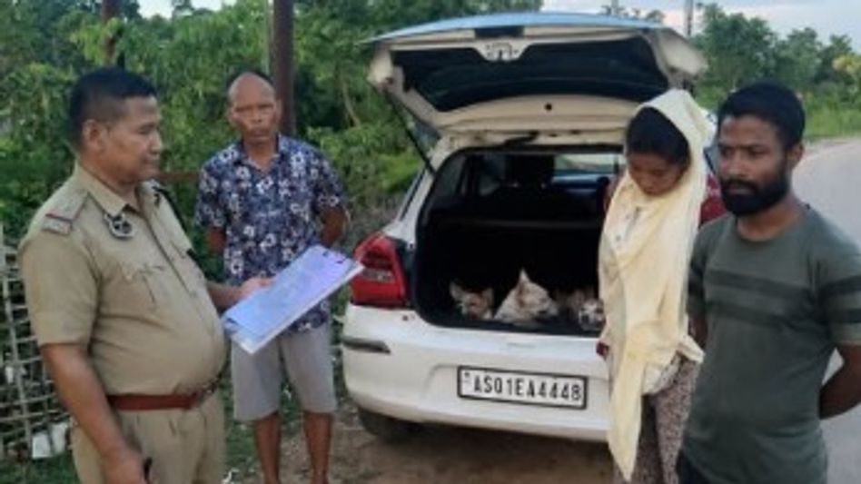 Assam: Karbi Anglong Police rescue dogs from alleged illegal smuggling operation Assam: Karbi Anglong Police rescue dogs from alleged illegal smuggling operation