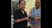 Injured Tricarinate Hill Turtle rescued from Brahmaputra, released after treatment: Himanta Injured Tricarinate Hill Turtle rescued from Brahmaputra, released after treatment: Himanta