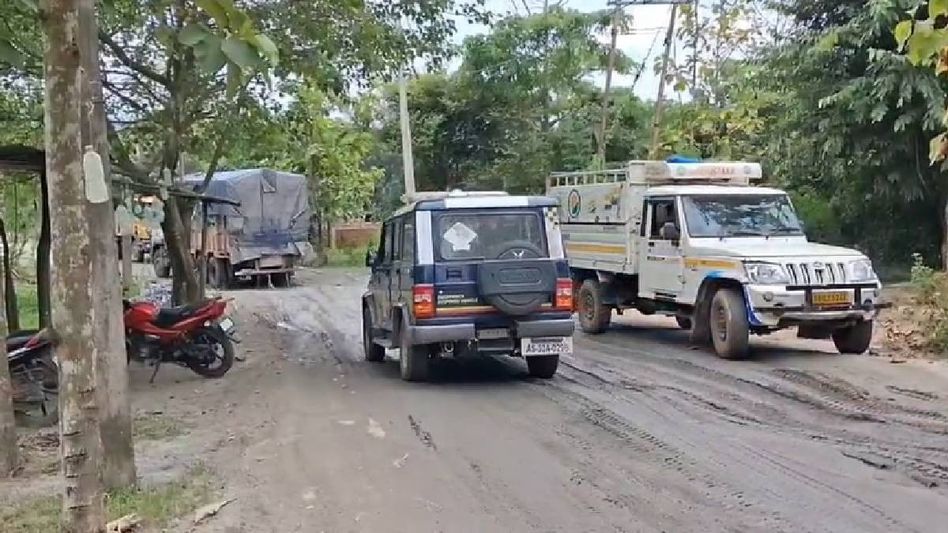 Assam: Jagiroad police bust suspected cattle smuggling operation, 40 cattle seized Assam: Jagiroad police bust suspected cattle smuggling operation, 40 cattle seized