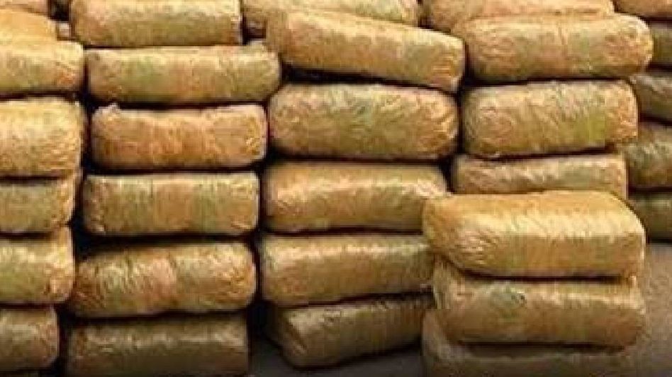 Assam: Cannabis worth over Rs 2 crore seized from truck at Srirampur check gate Assam: Cannabis worth over Rs 2 crore seized from truck at Srirampur check gate