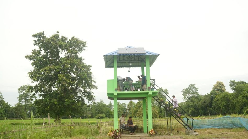 NRL to set up 14 elephant monitoring towers in Assam's Numaligarh to strengthen human-elephant coexistence NRL to set up 14 elephant monitoring towers in Assam's Numaligarh to strengthen human-elephant coexistence