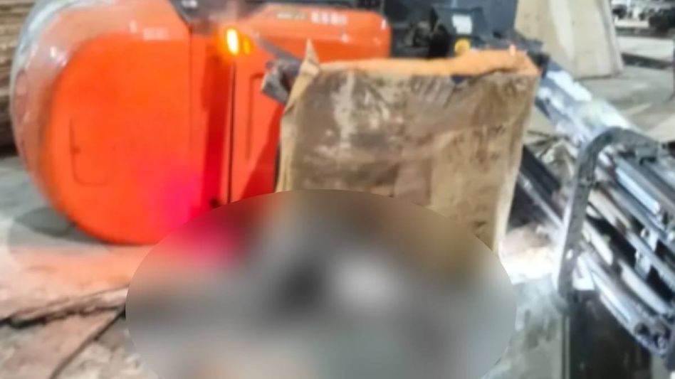Assam: Driver killed after vehicle falls into excavated pit at Palashbari industrial unit Assam: Driver killed after vehicle falls into excavated pit at Palashbari industrial unit