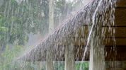 IMD forecasts rain, thunderstorms in Arunachal Pradesh till August 28 IMD forecasts rain, thunderstorms in Arunachal Pradesh till August 28