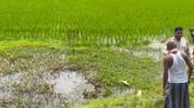 Body found in Assam's Cachar’s Syedpur within 15 Days, death of 40-year-old man sparks concern Body found in Assam's Cachar’s Syedpur within 15 Days, death of 40-year-old man sparks concern