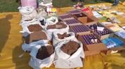 Assam destroys drugs worth Rs 300 crore in 100 days: Himanta Assam destroys drugs worth Rs 300 crore in 100 days: Himanta