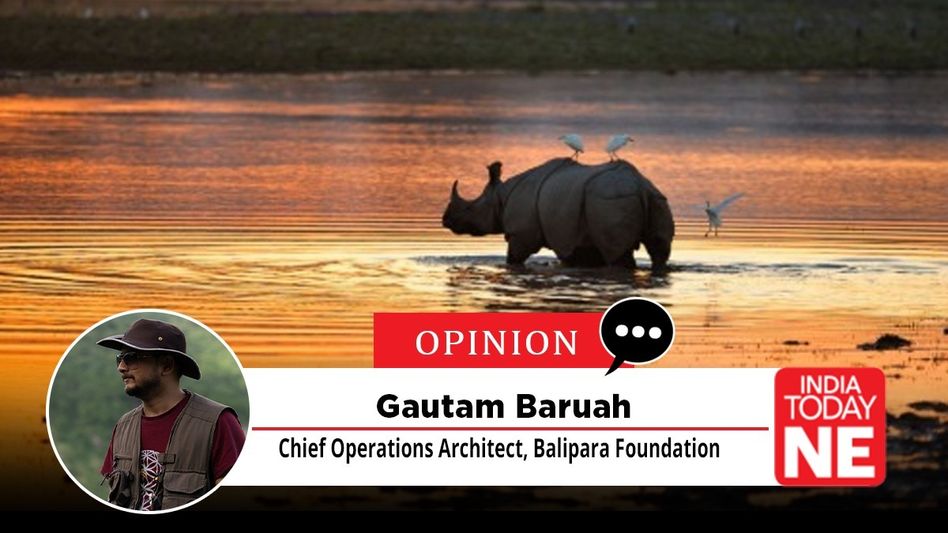 How not to destroy what makes Kaziranga exist How not to destroy what makes Kaziranga exist