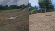 Manipur: Alleged firing on C. Kholen farmers sparks security concerns, village body appeals for action Manipur: Alleged firing on C. Kholen farmers sparks security concerns, village body appeals for action