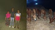 Assam steps up border crackdown, stops three Bangladeshi infiltrators; 54 cattle seized Assam steps up border crackdown, stops three Bangladeshi infiltrators; 54 cattle seized