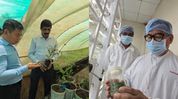 Arunachal's agriculture entrepreneur offers 10 acres land to promote tissue culture technology Arunachal's agriculture entrepreneur offers 10 acres land to promote tissue culture technology