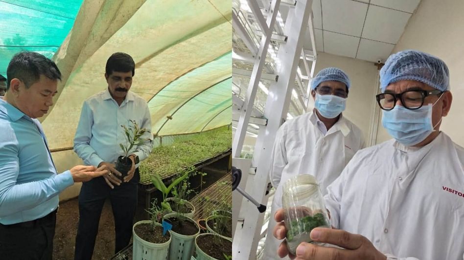 Arunachal's agriculture entrepreneur offers 10 acres land to promote tissue culture technology Arunachal's agriculture entrepreneur offers 10 acres land to promote tissue culture technology