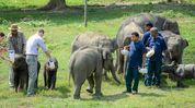 Assam: CWRC rescues over 10,000 wild animals in 25 years, releases 68% into forests Assam: CWRC rescues over 10,000 wild animals in 25 years, releases 68% into forests