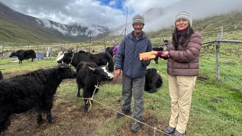 Sikkim: Yak calf rally held at 15,000 feet in remote Mangan valley Sikkim: Yak calf rally held at 15,000 feet in remote Mangan valley