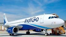 IndiGo IndiGo