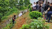 Mizoram launches ‘Green Schools League’ to promote cleanliness among students Mizoram launches ‘Green Schools League’ to promote cleanliness among students