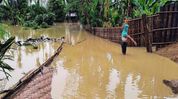 Assam flood death toll rises to 108 as fresh flooding hits seven districts Assam flood death toll rises to 108 as fresh flooding hits seven districts