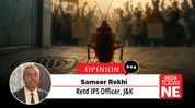 How the cockroach became a political metaphor and protest identity How the cockroach became a political metaphor and protest identity
