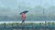 IMD forecasts rain, thunderstorms across Arunachal Pradesh from September 6 IMD forecasts rain, thunderstorms across Arunachal Pradesh from September 6