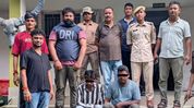 Two apprehended in Assam's Sonitpur with 12 Tokay Geckos in joint wildlife operation Two apprehended in Assam's Sonitpur with 12 Tokay Geckos in joint wildlife operation