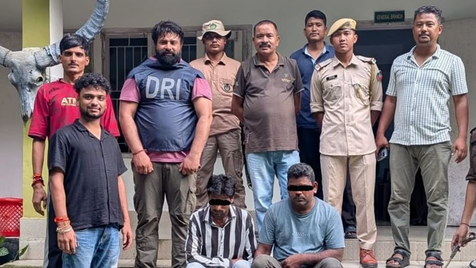 Two apprehended in Assam's Sonitpur with 12 Tokay Geckos in joint wildlife operation Two apprehended in Assam's Sonitpur with 12 Tokay Geckos in joint wildlife operation