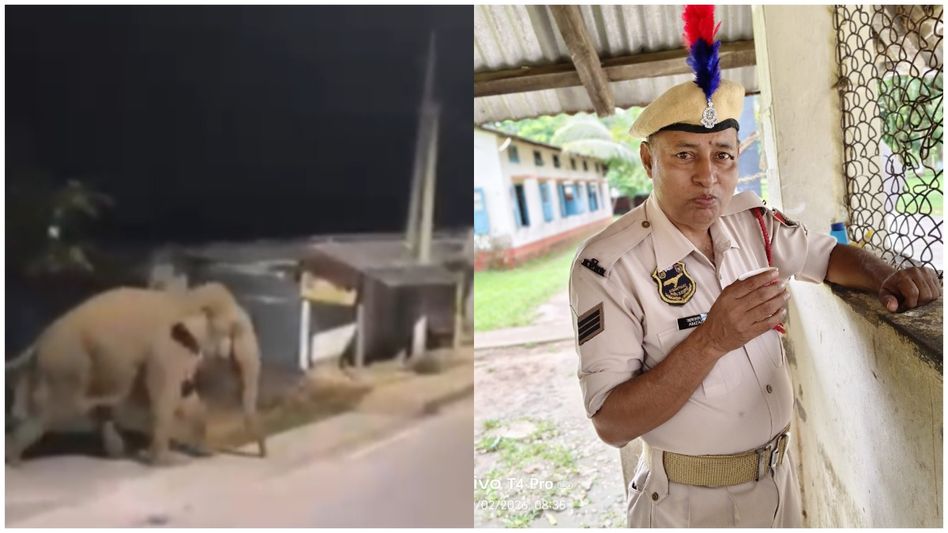 Assam's Goalpara Police personnel killed in wild elephant attack Assam's Goalpara Police personnel killed in wild elephant attack